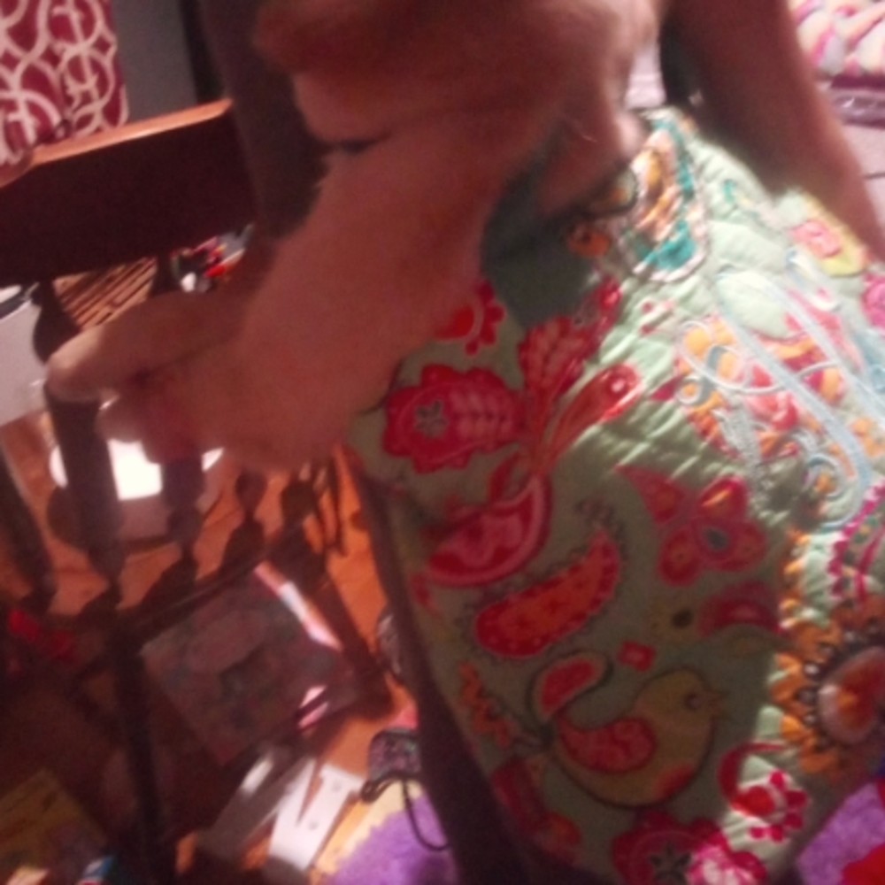 N. Girl bag bird fashion